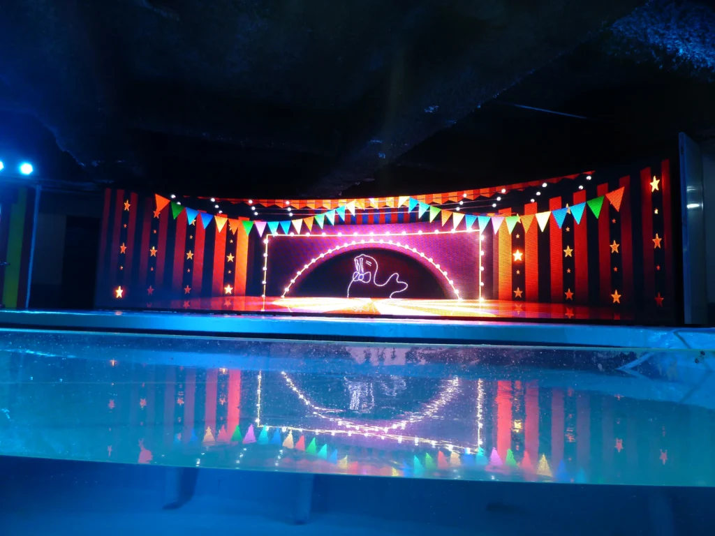a led video wall set aound the aquarium and start with a dolphin show now