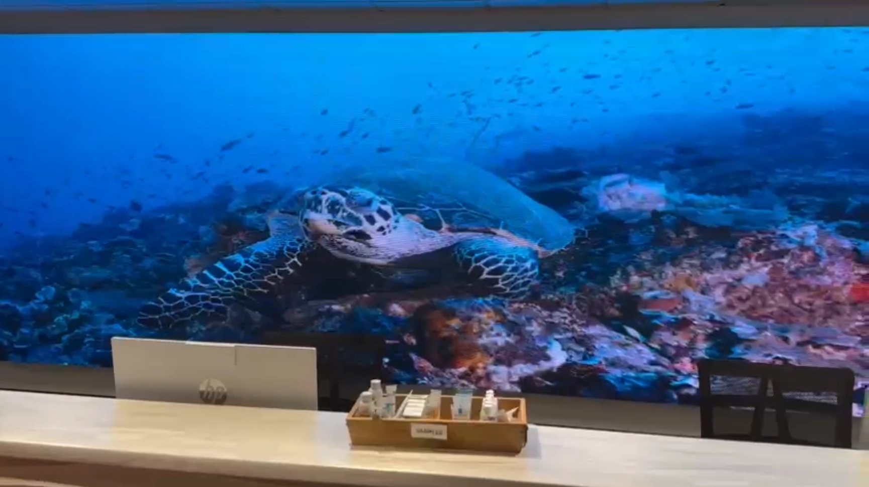 led video wall installed at home